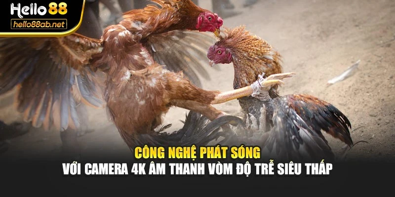 Công nghệ phát sóng với camera 4K âm thanh vòm độ trễ siêu thấp